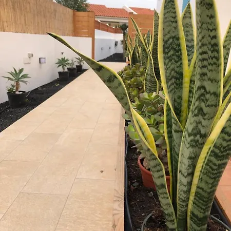 Casa de Férias Cozy, House , By Mahbovillas La Oliva