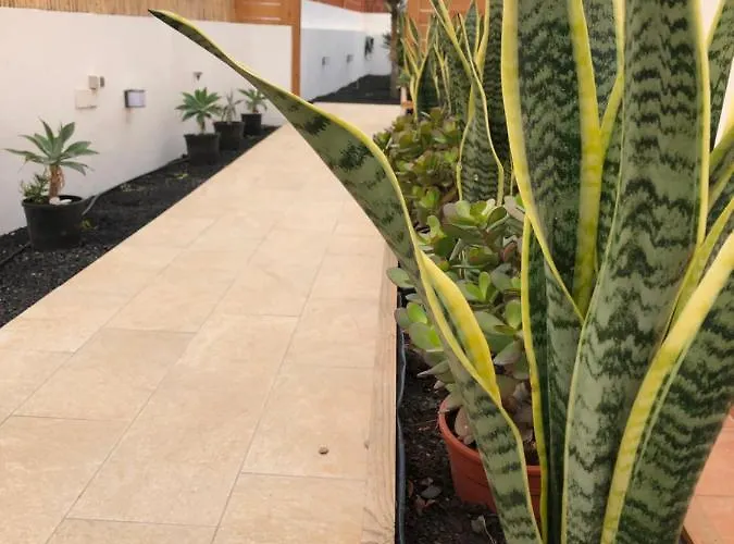 別荘 Cozy, House , By Mahbovillas ラ・オリーバ